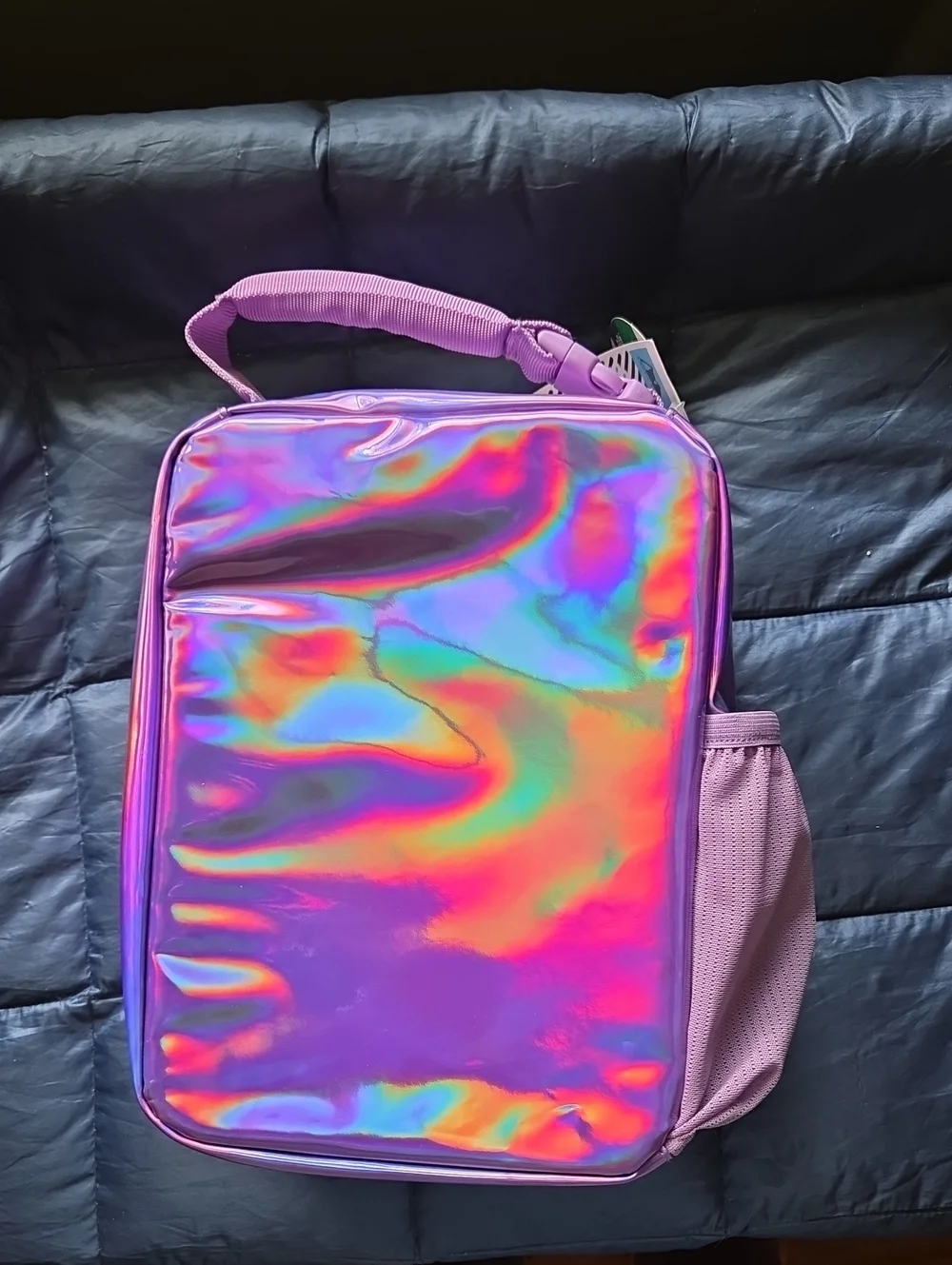 Arctic Zone Insulated Iridescent Purple Lunch Box--NWT--Microban